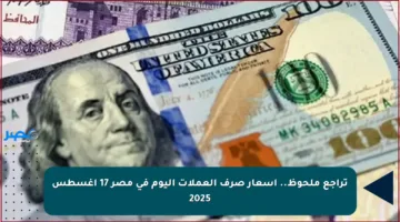 تراجع ملحوظ.. أسعار صرف العملات اليوم في مصر 17 أغسطس 2025